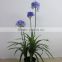 artificial flower bonsai indoor decoration