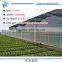 6 M PE Plastic Film Greenhouse for vegetables and flowers