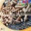 8 t/h high efficiency cassava peeling and washing machine/cassava root peeling and washing machine with good working performance