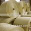 pp woven fabric in rolls
