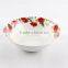 Ceramic bowl,pretty designs porcelain bowl,salad bowl with nice decal