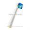 Top grade oral electric toothbrush head B
