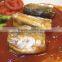 Canned Mackerel in Tomato Sauce