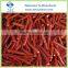 Supply Frozen Cayenne Chili Pepper