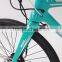 700C Carbon fiber high standard electric bicycle with 8 fun motor (Model YAKE MG)