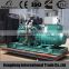 Diesel Generator 375kva With WUDONG Engine