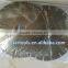 Electroplated diamond saw blade