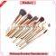 2016 Fashion Private label go pro makeup brushes 12 pcs set                        
                                                Quality Choice