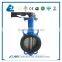 Kitz Butterfly Valve