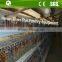Chicken rearing cage, chicken farm cage for egg laying hens