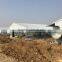 professional high quality broiler poultry farm shed design