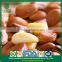 Promotion Coming Siberian Mouth Open Pine Nuts in Shell