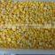 Non-GMO Frozen Sweet Corn Kernels IQF Sweet Corn Kernels