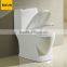 Sanitary ware types of Bathroom fittings Toilet For promotion