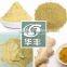 Natural Spices Pure Ginger Powder Factory Low Price