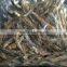 new dried fish wholesale