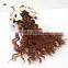 Natural Brown Curly Hair Weaving for Braiding
