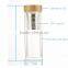 500ml Promotional Glass Drinkware Travel Leakpoof glass tea bottle infuser,glass filter drink water bottle