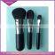 Wholesale Professional Private Label 3 Mini Makeup Brushes, Cosmetic Brushes, Makeup Brushes Set With Free Sample