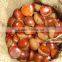 new crop fresh chestnuts hot sale