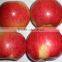 High quality Chinese red star apple best price red star apples sweet and fresh red star apples