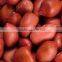 EXPORTER OF INDIAN BOLD PEANUT KERNEL 50/60