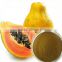 GMP manufacturer supply 100% natural high quality papaya extract powder