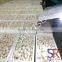 fresh white button mushrooms cultivation Low Price