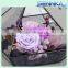 Natural fresh cut flower preservative glass box preserved rose