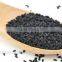 Black Cumin Seed Oil