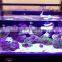 eSUN polycaprolactone (polymorph)for coral reef frag glue application in aquarium