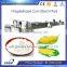 Pregelatinized corn starch plant