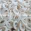 good wear resistance PTFE Plastic Gear