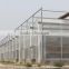 Fiberglass sheet for greenhouse