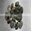 Frozen Vacuumed Short Necked Clam Cheap Pirce For Sale