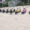 china yongkang factory Pleasedin the most fashionable citycoco 2 wheel electric scooter, adult two wheel electric motorcycle
