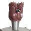 Roller cone palm bit