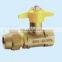 ball valve inside