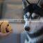Hot selling  dog activity toy dog chewers rubber toy power chewer toy
