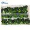Sinocharm Frozen vegetables Natural green food BQF Rape flower for sale