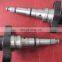 Diesel plunger nozzle 2455/225   2418455225