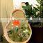 New Arrival Handmade Rattan pear mirror Wall Mirror Dressing Table Decor Kid's Room WHolesale made in Vietnam