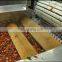 stainless steel cherry stemmer machine