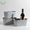 CUUC Summer Style Garden Nursery Zinc Metal Storage Container Bucket Planter Flower Pot