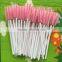 Colour disposable with mascara wands applicator makeup tool