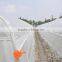 Tunnel Greenhouse for Agriculture