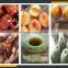 Leader fruit process machine with website:leaderservice005
