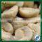 Arabica Green coffee bean export