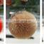 Hot sale fake rabbit Fur balls Unisex Keyring 9cm Size Fashion accessories