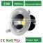 Led Project Lamp With Lifud Driver Led Down Light 22W